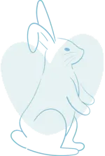 COELHO-AZUL5.webp